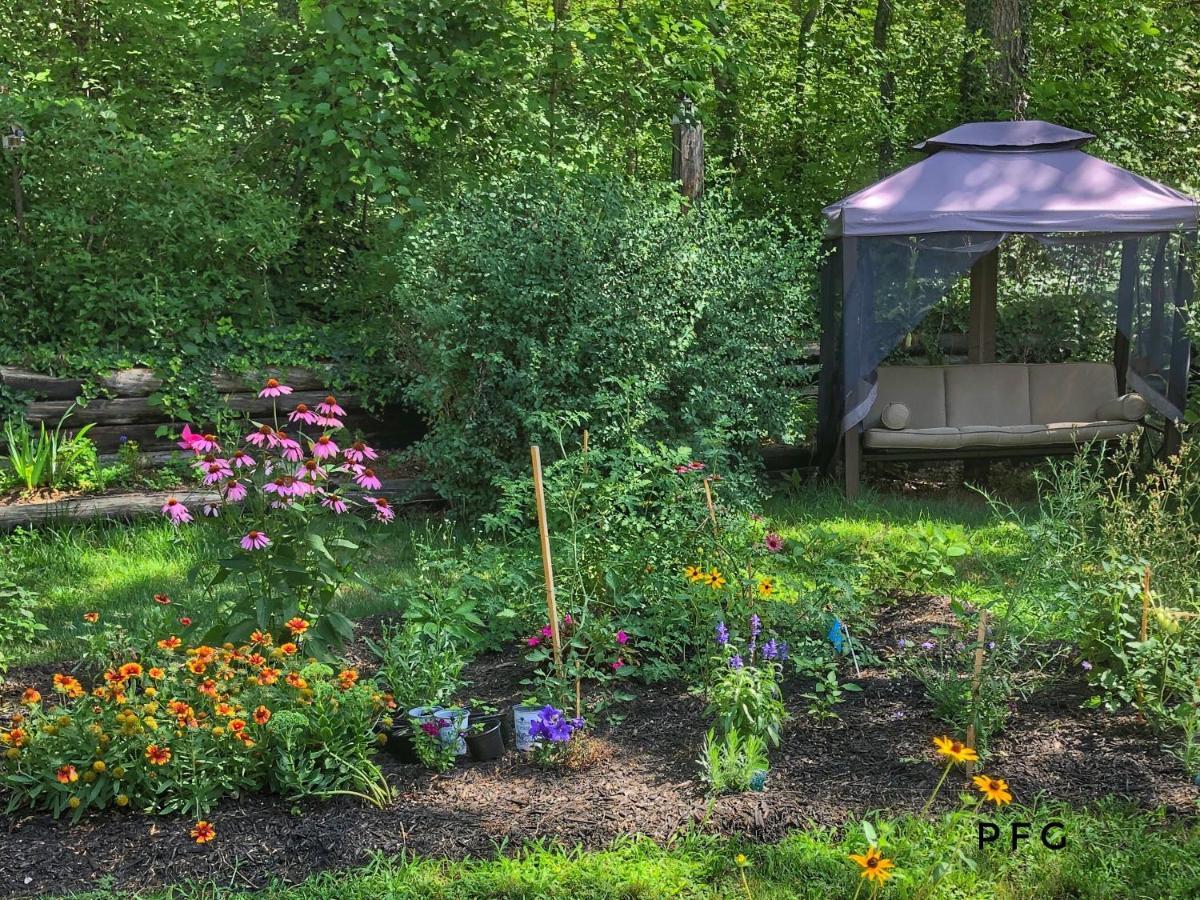 Cozy Cottage Retreat Lambton Shores Exteriér fotografie